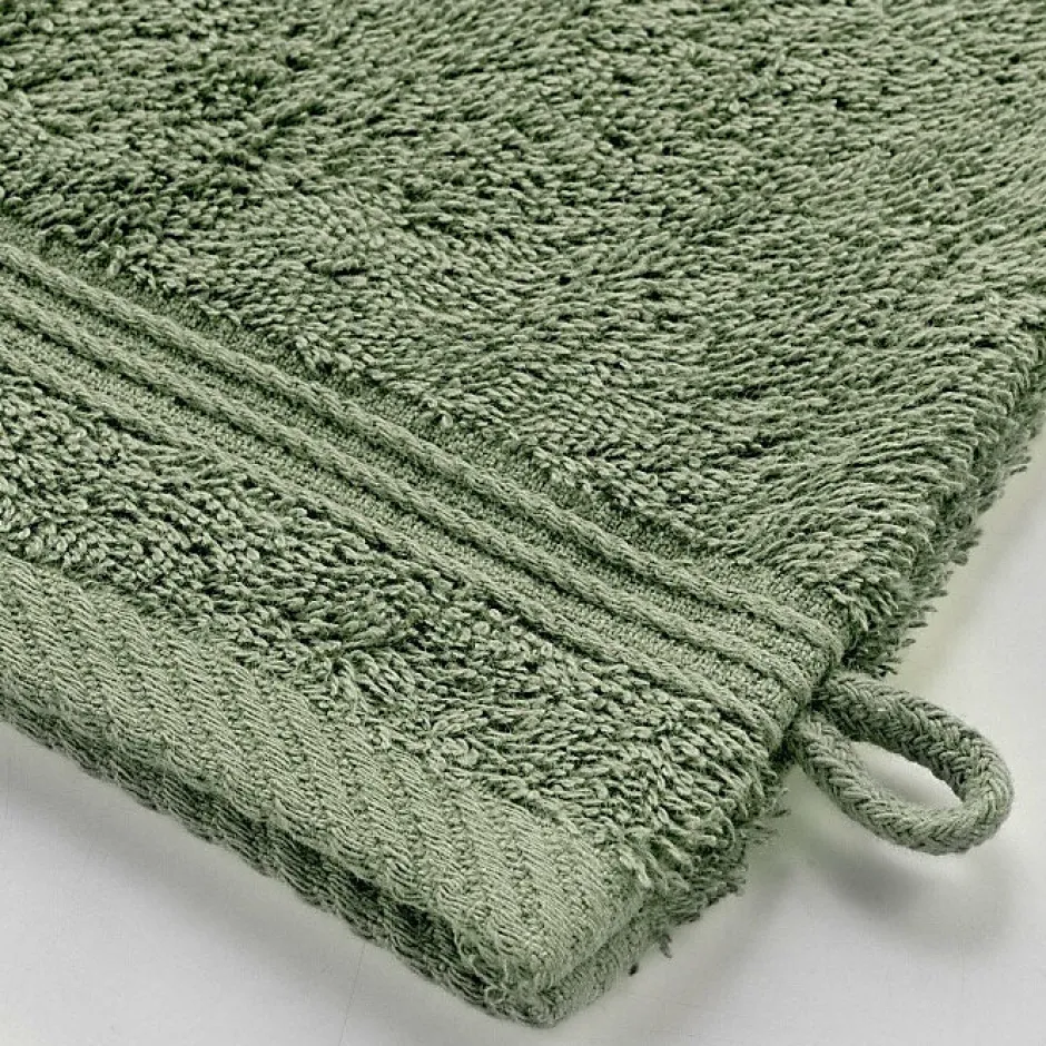 Douceur D'Intérieur 2 gants de toilette 15 x 21 cm eponge unie tendresse Fougere