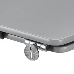 GoodHome Abattant WC avec frein de fermeture, gris, Morava* Abattant Wc