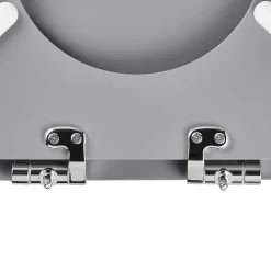 GoodHome Abattant WC avec frein de fermeture, gris, Morava* Abattant Wc