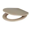 GoodHome Abattant WC Diani avec frein de chute taupe