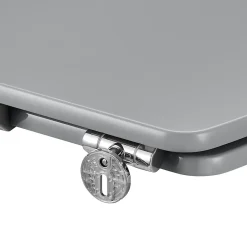 GoodHome Abattant WC Morava coloris gris en MDF avec frein de chute