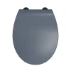 Bemis Abattant WC gris anthracite brillant