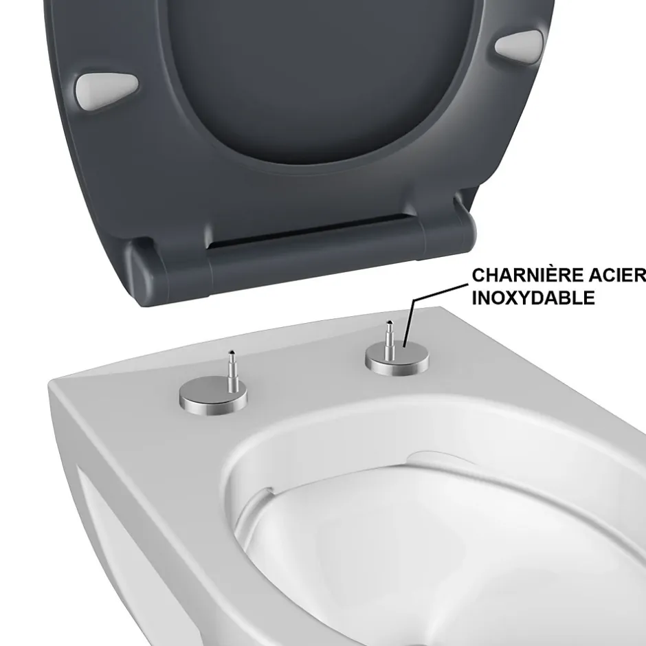 Bemis Abattant WC gris anthracite brillant