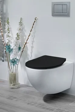 Bemis Abattant WC noir mat avec frein de chute déclipsable