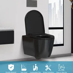 Todot Abattant WC Noir Déclipsable Forme D avec Frein de Chute