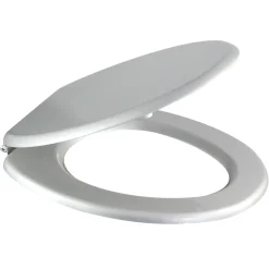 Cooke & Lewis Abattant WC Palmi gris