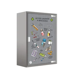 Armoire à pharmacie L. 30 x H.45 x P.15 gris