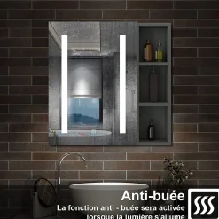 AICA Sanitaire Armoire de toilette avec Miroir LED et Étagère Latérale, Anti-Buée, Éclairage 3 Couleurs + Prise, Anthracite 60x70 cm* Armoire De Toilette