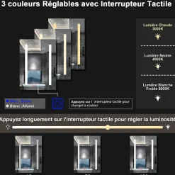 AICA Sanitaire Armoire de toilette avec Miroir LED Anti-Buée, Éclairage 3 Couleurs et Prise Rasoir, Anthracite, 60x70 cm,
