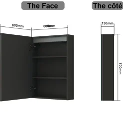 AICA Sanitaire Armoire de toilette avec Miroir LED Anti-Buée, Éclairage 3 Couleurs et Prise Rasoir, Anthracite, 60x70 cm,