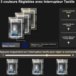 AICA Sanitaire Armoire de toilette avec Miroir LED Anti-Buée, Anthracite 50x70 cm, Éclairage 3 Couleurs et Prise Rasoir,* Armoire De Toilette