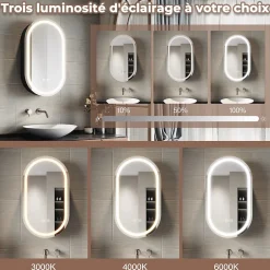 Sirhona Armoire de toilette 40x70cm+Touch+LED Tri-couleur Température+ Anti-buée+ Prise rasoir