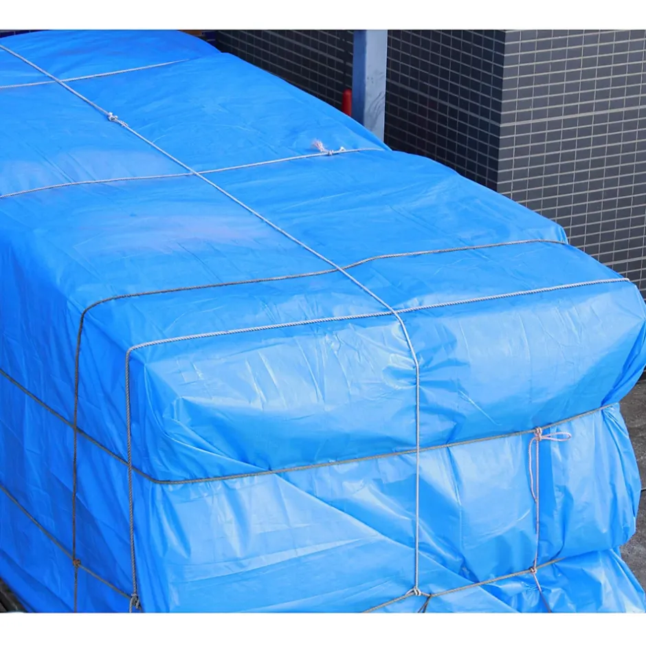 ECD Germany Bâche de couverture étanche protection en PE avec oeillets 2x3 m 260 g/m² bleu* Etendoir À Linge