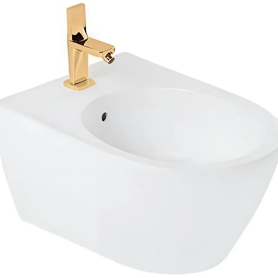 Sanindusa Bidet suspendu céramique traditionnelle 56 Sanlife blanc mate texture