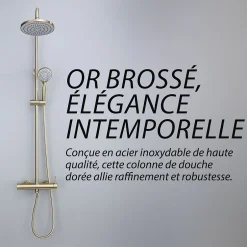 Dileci Colonne de douche couleur or brossé -* Colonne De Douche Mécanique