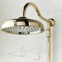 Jacob Delafon Colonne de douche Cléo 1889 Or beige + nettoyant Briochin