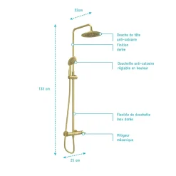 Galedo Colonne de douche mécanique avec pommeau + douchette 2 jets + flexible + barre réglable, doré brossé, Arty* Colonne De Douche Mécanique