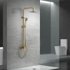 Imex Products Colonne de douche mitigeur or brosse acier et laiton douchette extensible pomme extraplate antic* Colonne De Douche Encastrable