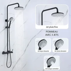 Dileci Colonne de douche noir mat - 2 fonctions -