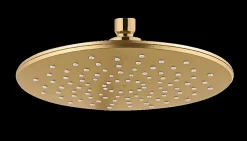 Wenko Colonne de douche sans robinetterie avec douchette + pomme de tête + barre réglable + flexible, doré, Young Line