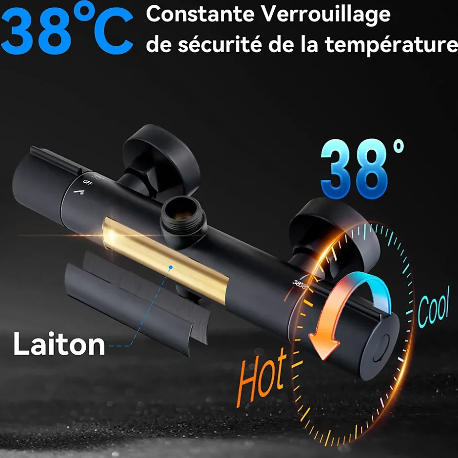 Homelody Colonne De Douche Thermostatique Securite 38C Jet Pluie Hauteur Reglable 1006 A 1206 mm Structure Inox Noire