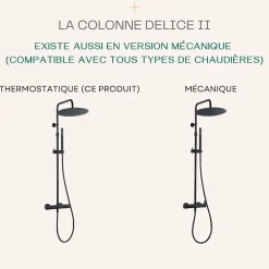 Essebagno Colonne de douche thermostatique corps froid noir Delice II