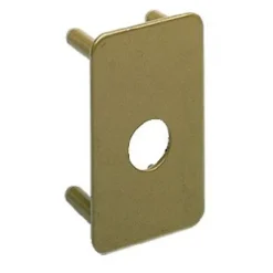Vachette Contre-plaque 744V pour verrou V136 - ASSA ABLOY Jaune/Doré* Urinoir