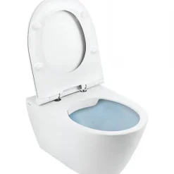 Sanindusa Cuvette de WC céramique traditionnelle suspendue système d'hygiène sans bride Rimflush 56 Sanlife blanc mate texturé* Wc Suspendu