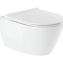 Sanindusa Cuvette de WC céramique traditionnelle suspendue système d'hygiène sans bride Rimflush 56 Sanlife blanc mate texturé* Wc Suspendu