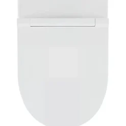 Sanindusa Cuvette de WC céramique traditionnelle suspendue système d'hygiène sans bride Rimflush 56 Sanlife blanc mate texturé* Wc Suspendu