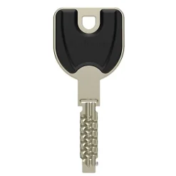 Vachette Cylindre profil européen RADIAL-R 42x42mm 3 clés - - 20987000