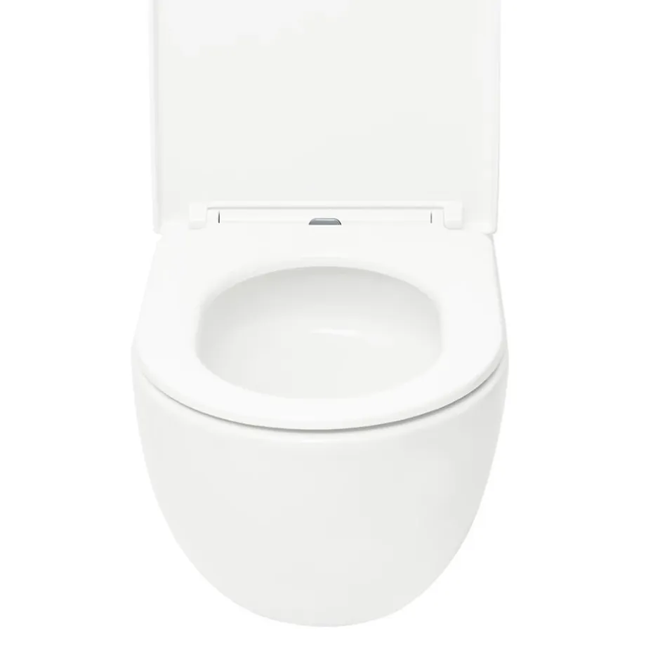 Geberit Delta Pack WC Bâti support Duofix 112 cm + WC SAT Tornado sans bride + Abattant SoftClose + Plaque blanche (TORNADOGEB3)