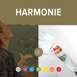 Change your life Douchette 1 jet Harmonie 12 cm 7ChakrasShower