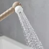 Hansgrohe Douchette à main 2 jets beige, Jocolino Lion