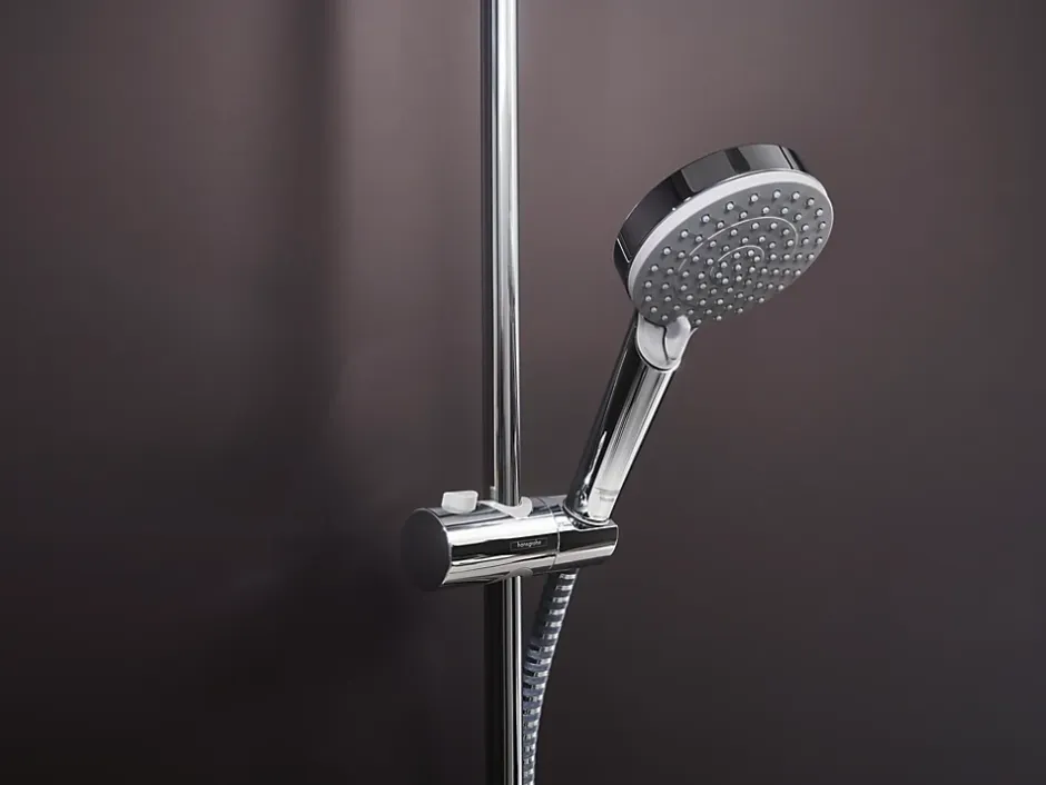 Hansgrohe Douchette à main 100 Vario EcoSmart 9 l/min chromé Vernis Blend