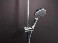 Hansgrohe Douchette à main 100 Vario EcoSmart 9 l/min chromé Vernis Blend