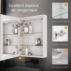 EMKE Meuble de Salle de Bain avec Miroir, Porte Soft-Close, LED Réglable, Prise USB, Anti-Buée, Charnière Gauche* Armoire De Toilette
