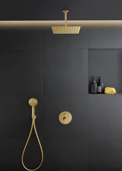Duravit Flexible de douche 1,60M doré poli* Pommeau De Douche, Flexible Et Barre De Douche
