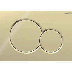 Geberit Plaque de déclenchement Sigma01 pour rinçage double touche (115.770.DT.5)