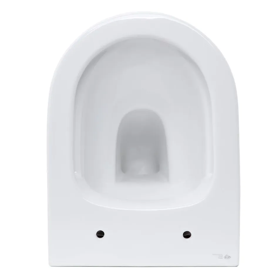 Grohe Pack WC Rapid SL + WC Swiss Aqua Technologies Infinitio sans bride + Plaque Arena chrome + Set d'habillage* Wc Suspendu