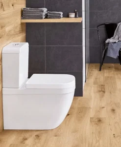 Grohe WC à poser sans bride Euro Ceramic + abattant* Wc À Poser