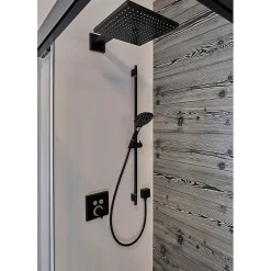 Hansgrohe Douche de tête Raindance E300, 1 jet avec bras de douche, noir mat (26238670)