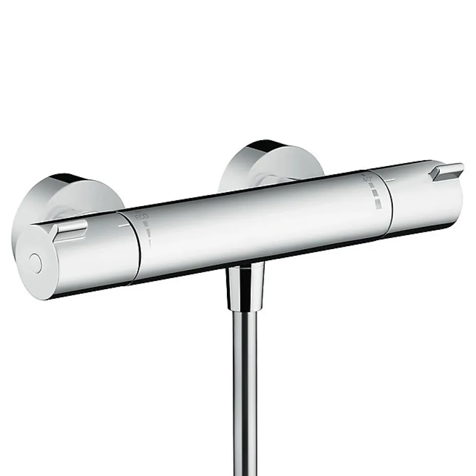 Hansgrohe Ecostat Set mitigeur thermostatique + Barre 65cm + Douchette 2 jets + Flexible, Chrome (13211000-Vernis)* Colonne De Douche Sans Robinetterie