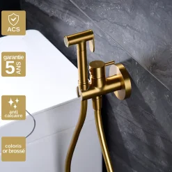 Imex Kit Douchette anti-calcaire hygiénique encastrée WC ou Bidet Salle de Bain Or Brossé MUNICH RDM001/OC* Robinet De Bidet