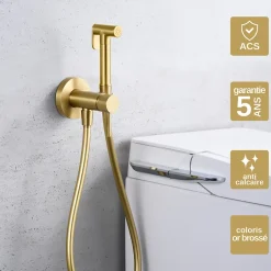Imex Kit Douchette anti-calcaire hygiénique encastrée WC ou Bidet Salle de Bain Or Brossé LINE RDD038/OC* Robinet De Bidet