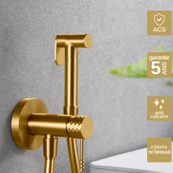 Imex Kit Hygiène Douchette de WC / Bidet Encastré Or Brossé GENOVA RDG053/OC