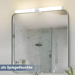 Nettlife Lampe de miroir de salle de bain LED 40 cm 6 W IP44 4 000 K* Miroir Lumineux