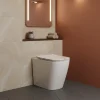 Laneri WC AU SOL Série Moon - Cuvette Rimless sans bride Blanc Brillant FIL Mural - Abattant Soft-Close