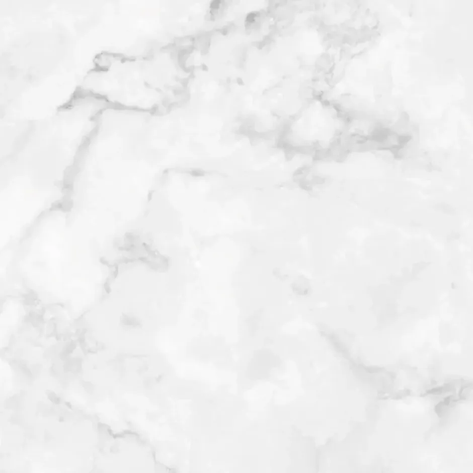 99Deco Lot de 2 panneaux de douche en PVC (90x220 & 120x220 cm) + profilés blanc - Effet Marbre clair