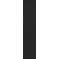 Vidaxl Meuble de salle de bain avec porte-rouleau noir 20,5x20x90 cm* Meuble Wc